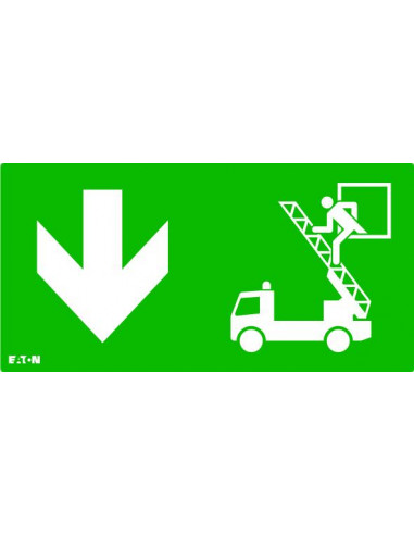 Picto pour gammes ULTRALED 2 et PLANETE 2 Camion Echelle Evacuation Bas LUMINOX FT2ED PICTO RWD