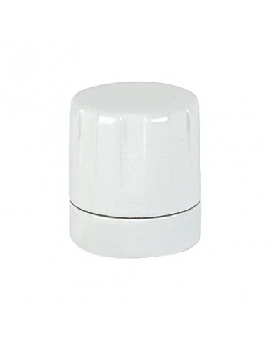 TETE MANUELLE BLANCHE THERMOR 498040