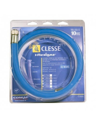 FLEXIGAZ 10 ANS GN 1,00ML CLESSE...