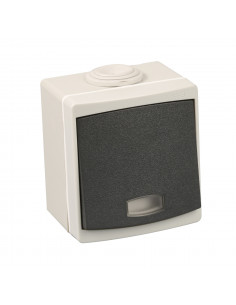 Va/Vient lumineux IP55 gris...