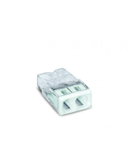 PACK 100 BORNES 2 ENTRÉES WAGO WAG2273-202