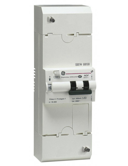 Disjoncteur de branchement BIPO 45A sélectif MICHAUD N463