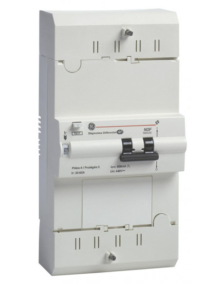 Disjoncteur de branchement TETRA 60A instantané MICHAUD N467