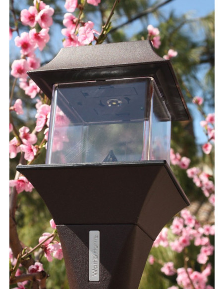 BALISE PAGODE SOLAIRE WATT&HOME 40174